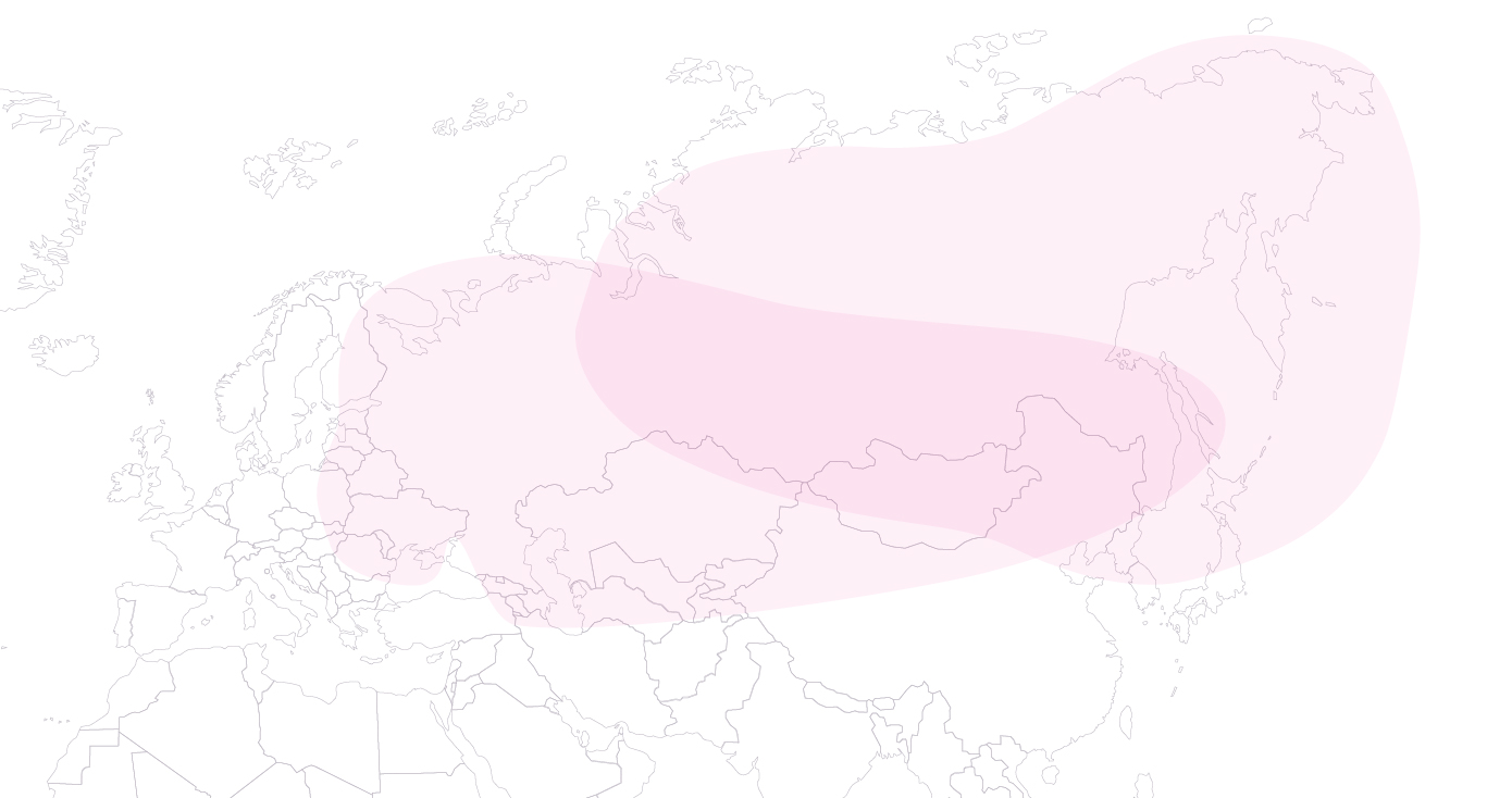 Группа компаний «Орион»